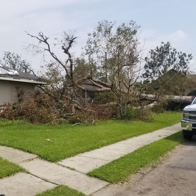 IDA Cleanup fallen pecan river ridge