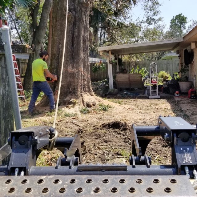 IDA Cleanup water oak river ridge #3