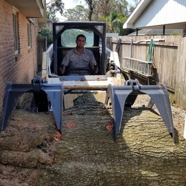 IDA clean-up water oak river ridge