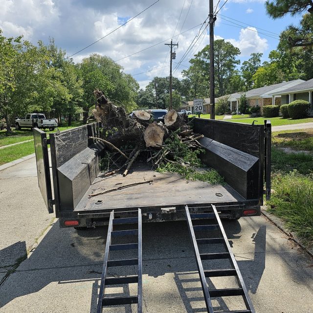 Stump removals in slidell