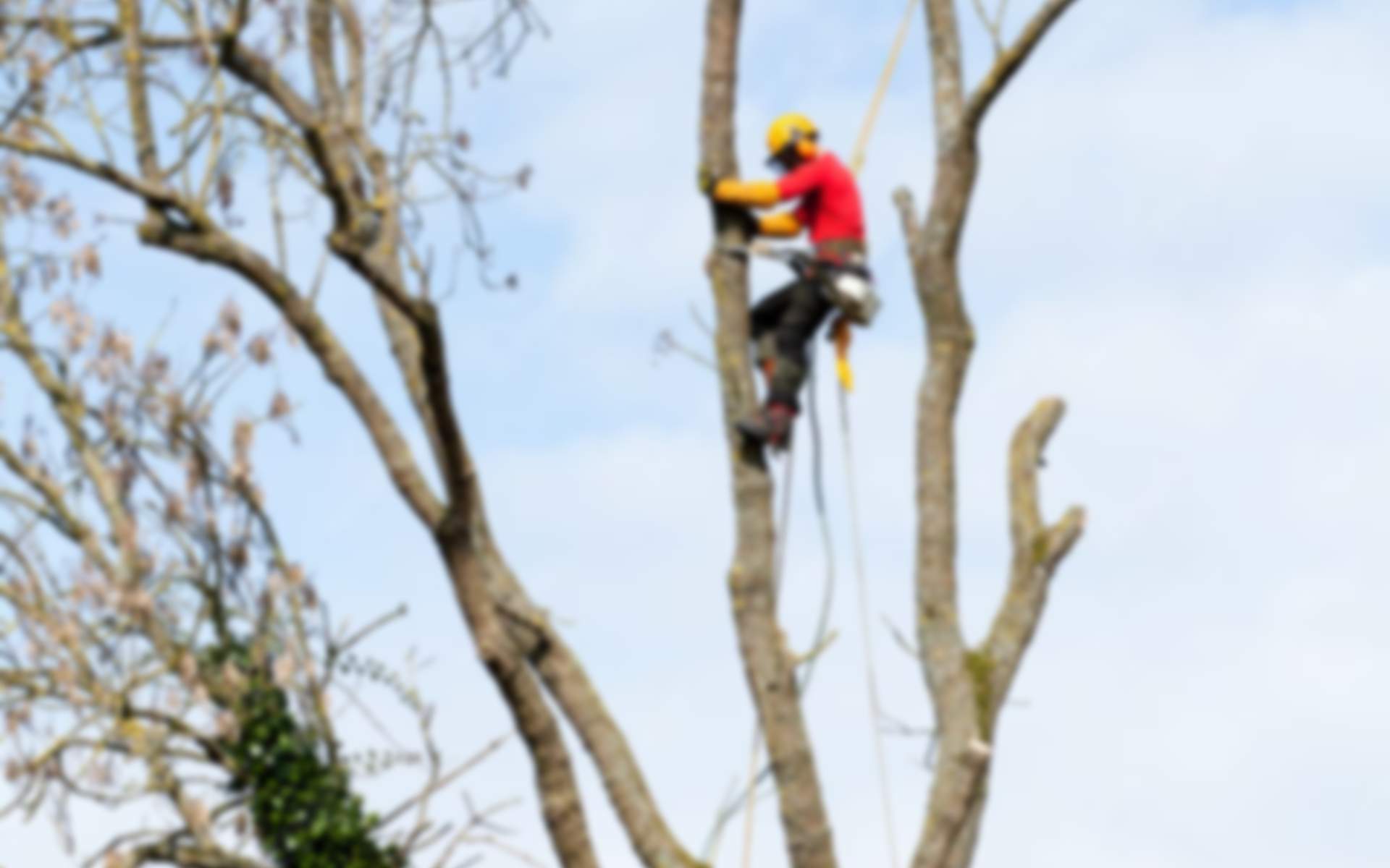 Gardner Tree Service