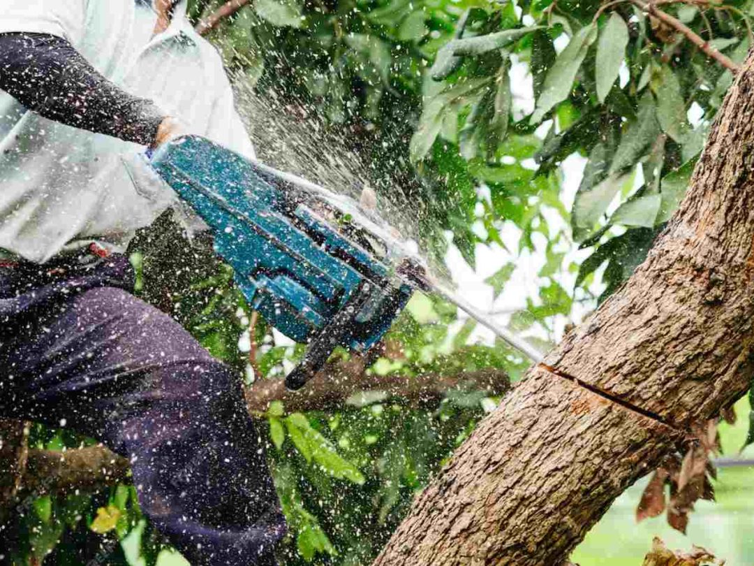 Gardner Tree Service