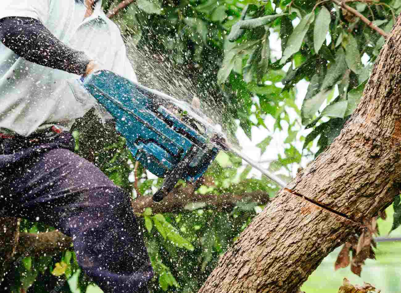 Gardner Tree Service