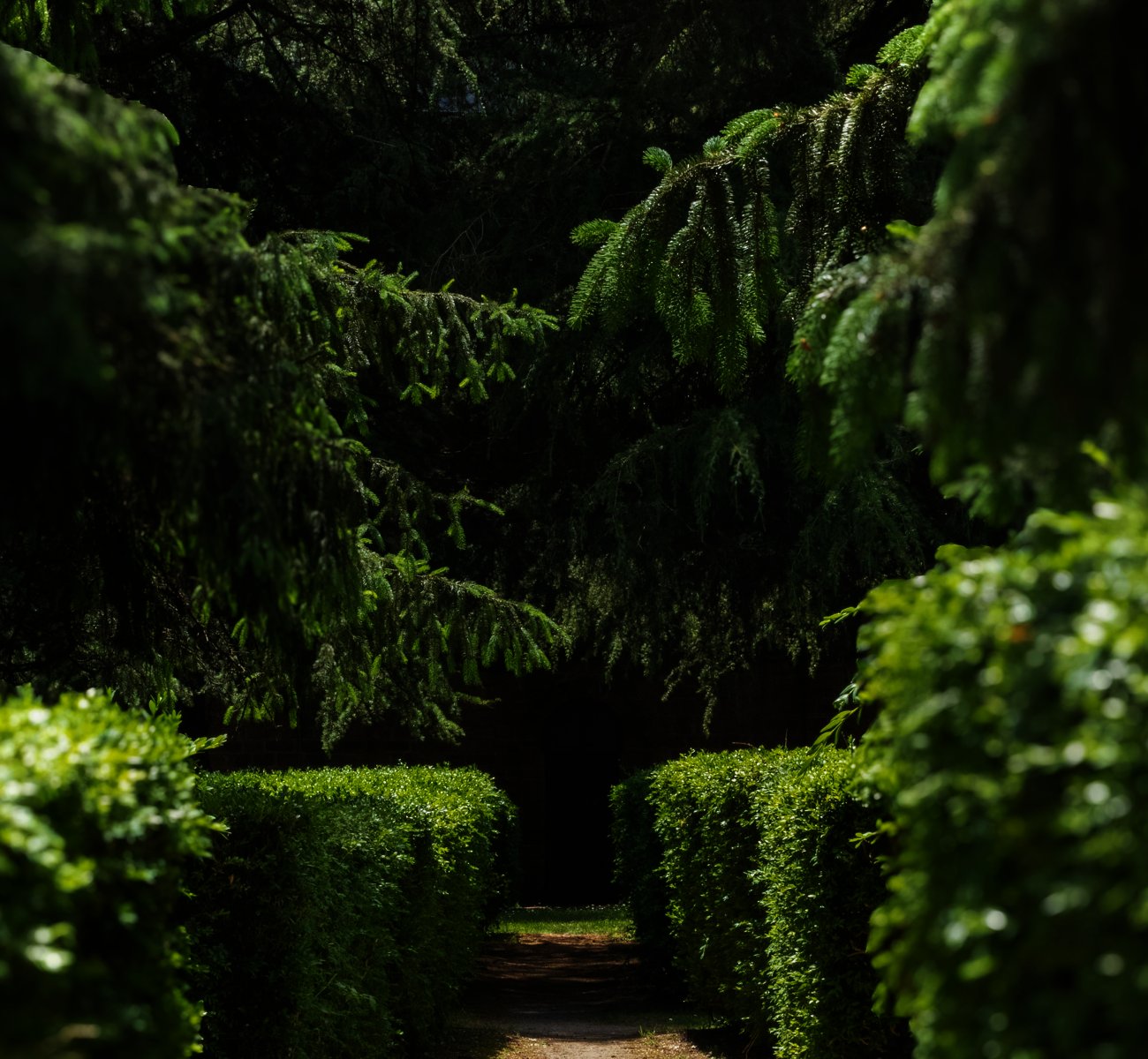 https://gardnertreeservice.net/wp-content/uploads/2025/06/hedges-and-topiary.jpg