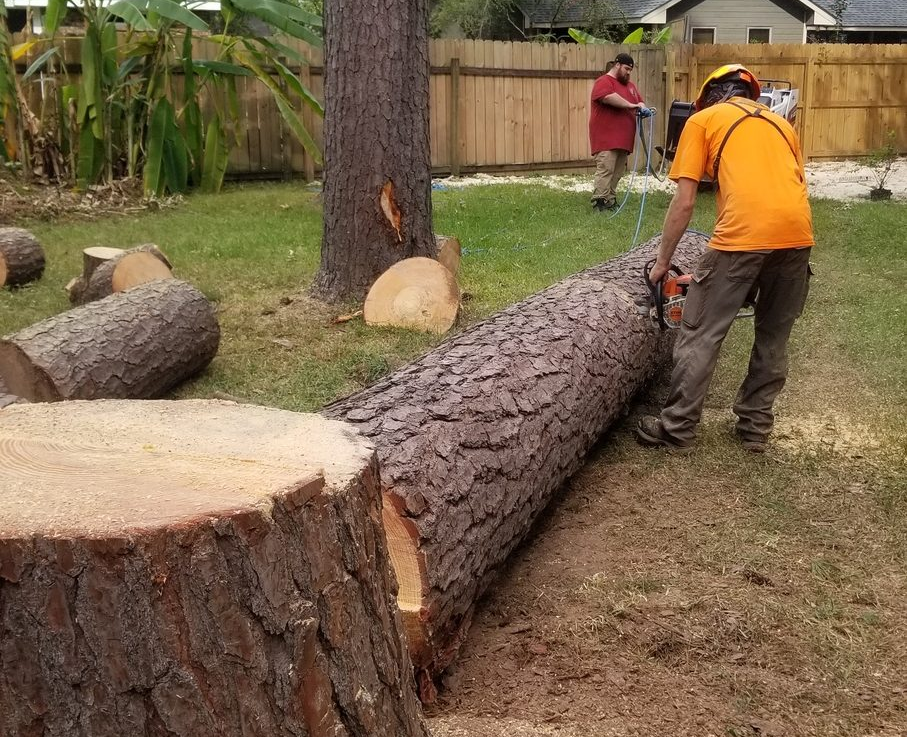 https://gardnertreeservice.net/wp-content/uploads/2025/06/home3.png