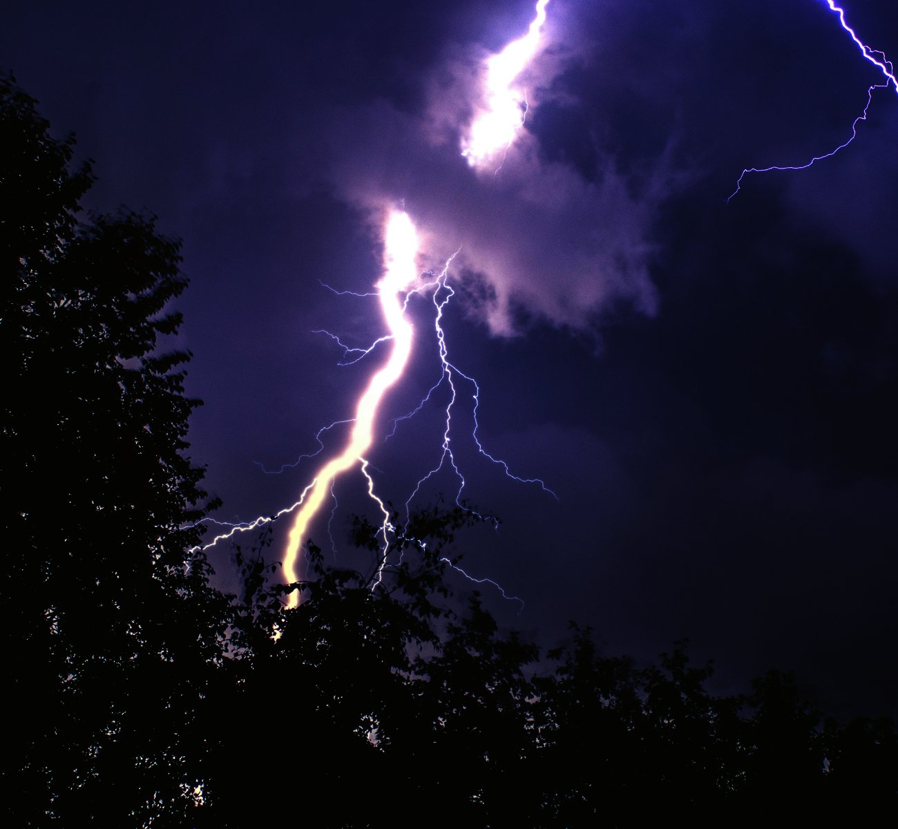 https://gardnertreeservice.net/wp-content/uploads/2025/06/lightning-protection.jpg