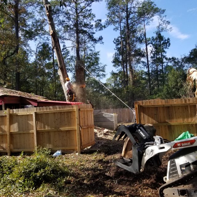 slidell water oak removal