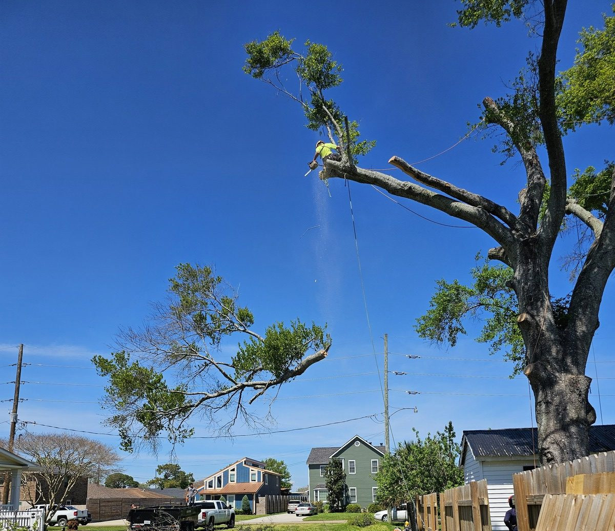 https://gardnertreeservice.net/wp-content/uploads/2025/06/wherecanwehelp.jpg